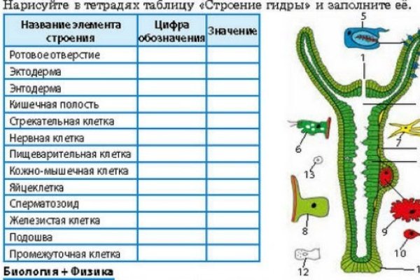 Как зарегистрироваться в кракен в россии