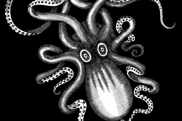 Kraken com darknet