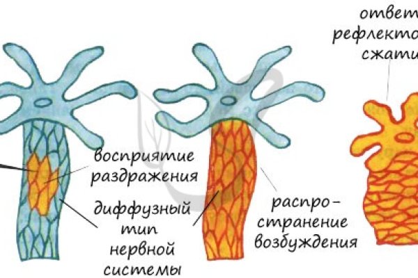 Какая ссылка у кракена